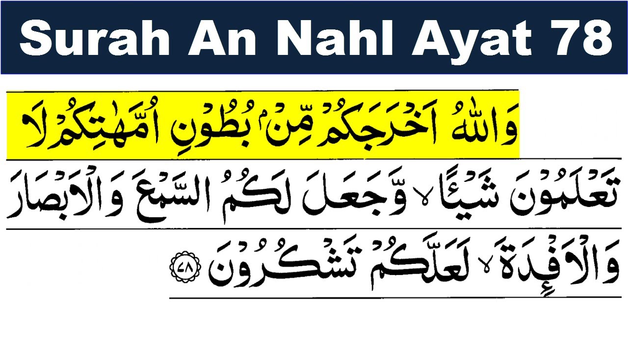 Detail Surat An Nahl Ayat Koleksi Nomer