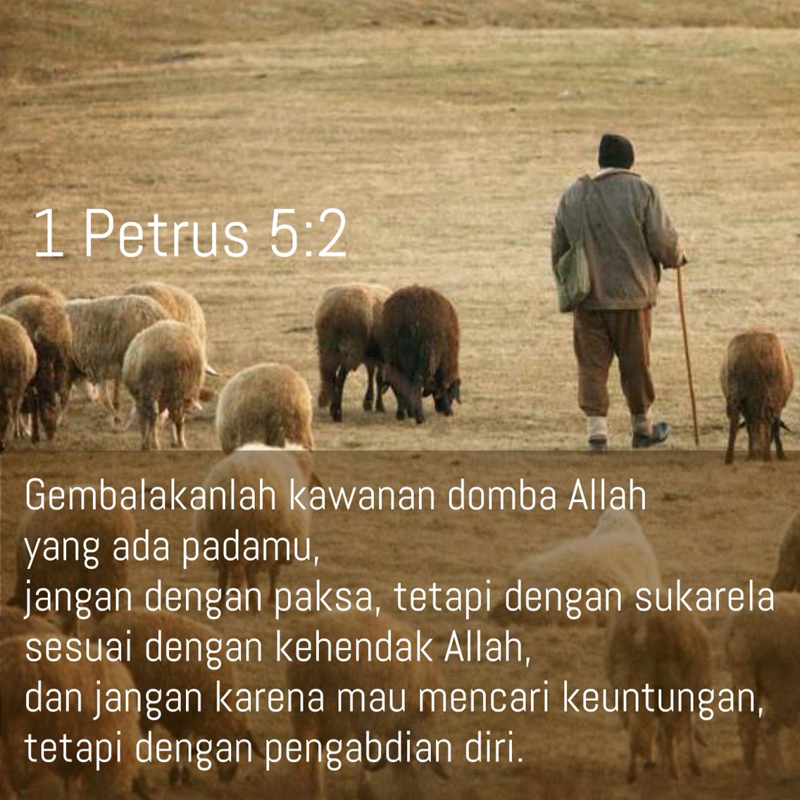 Detail 1 Petrus 5 Nomer 10