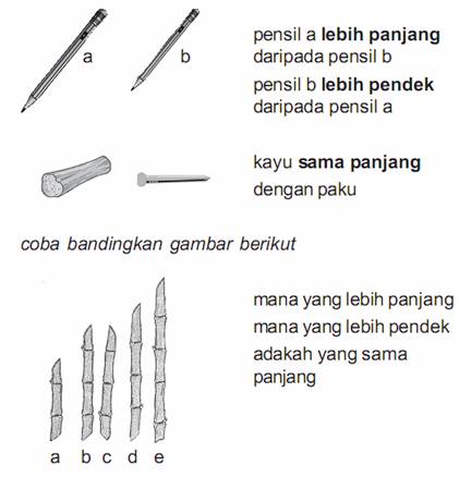 Detail 10 Contoh Alat Ukur Tidak Baku Nomer 28