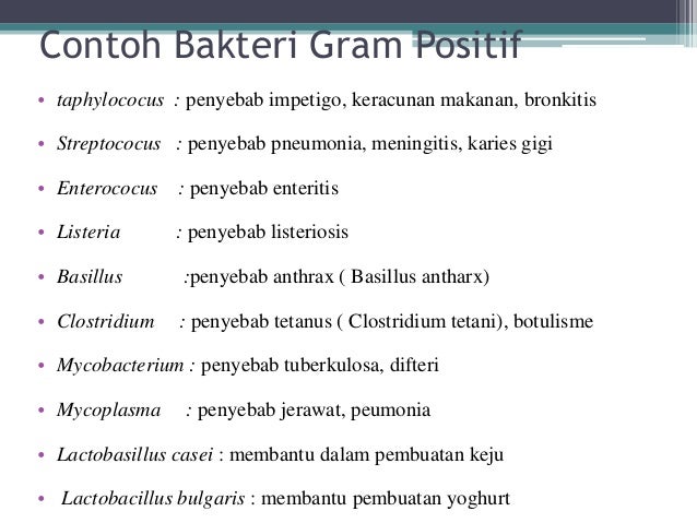 Detail 10 Contoh Bakteri Gram Positif Nomer 28