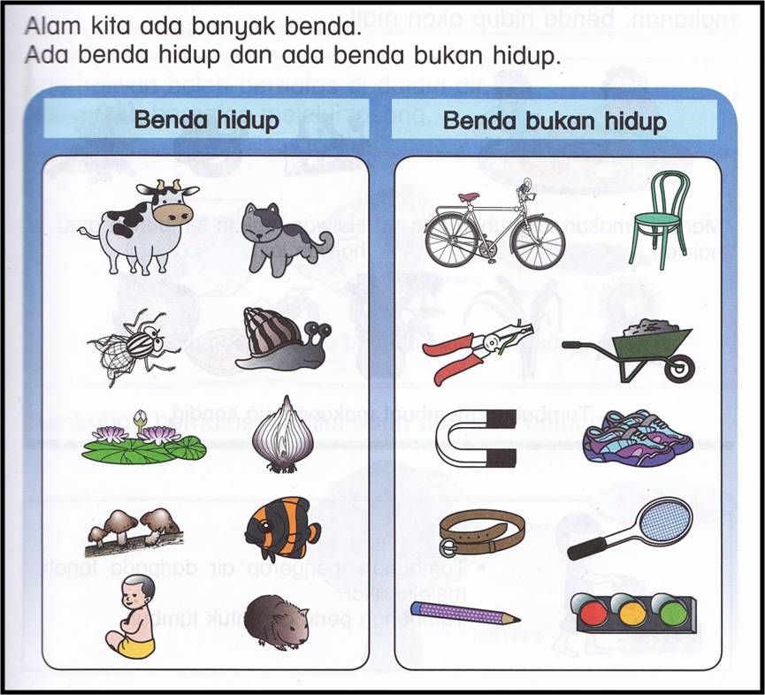 Download 10 Contoh Benda Hidup Nomer 8