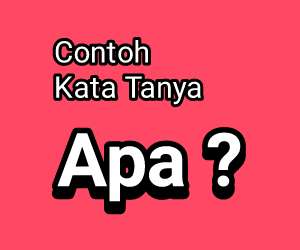 Detail 10 Contoh Kalimat Tanya Nomer 17