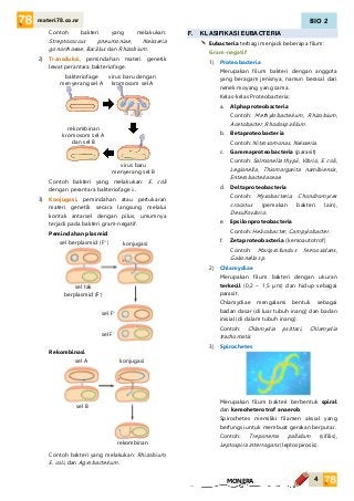 Detail 10 Contoh Monera Nomer 39