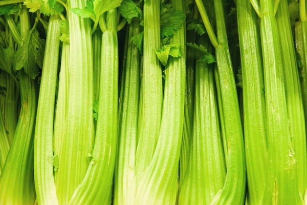 Detail 10 Gambar Tanaman Sayur Lengkap Dengan Namadan Vitaminnya Nomer 27