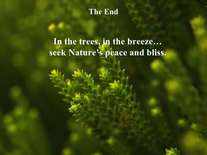 10 Great Quotes On Nature - KibrisPDR