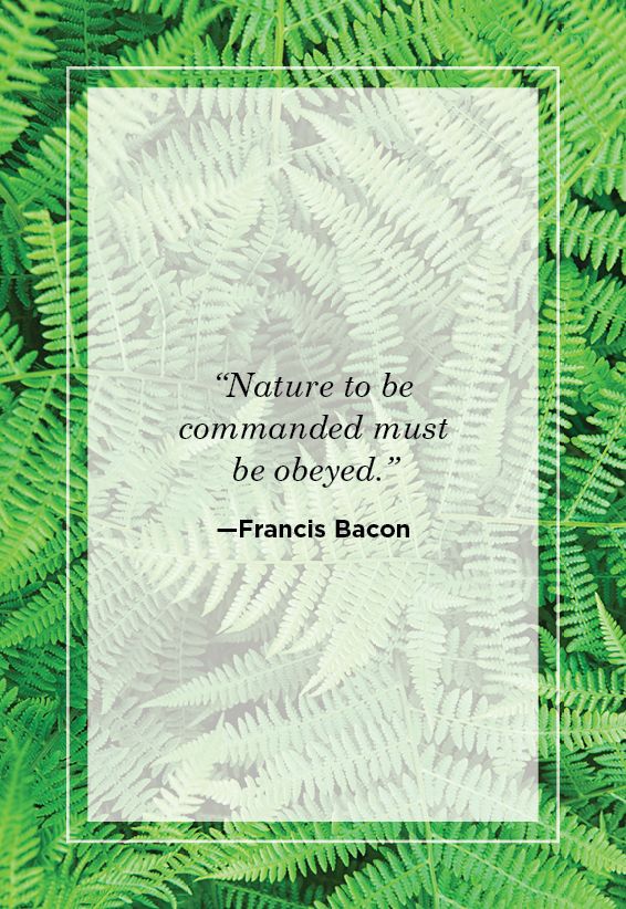 Detail 10 Great Quotes On Nature Koleksi Nomer 2