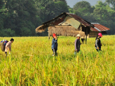 Detail 10 Wilayah Indonesia Gambar Pertanian Adat Nomer 13