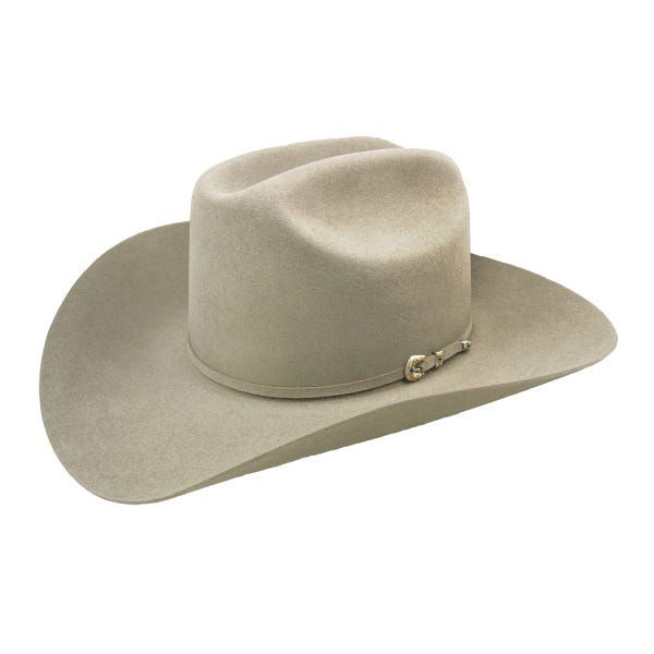 Detail 100 Beaver Cowboy Hats Nomer 15