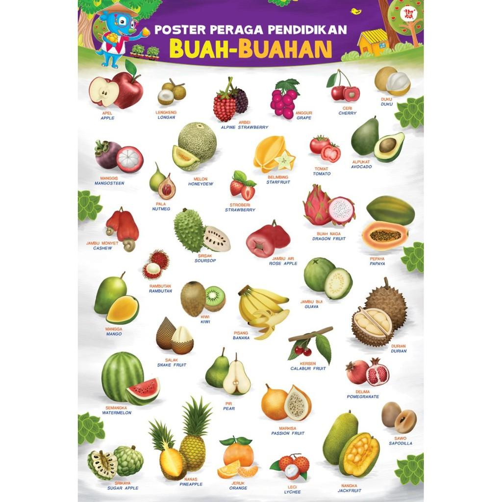 Detail 100 Nama Buah Dan Gambarnya Nomer 11