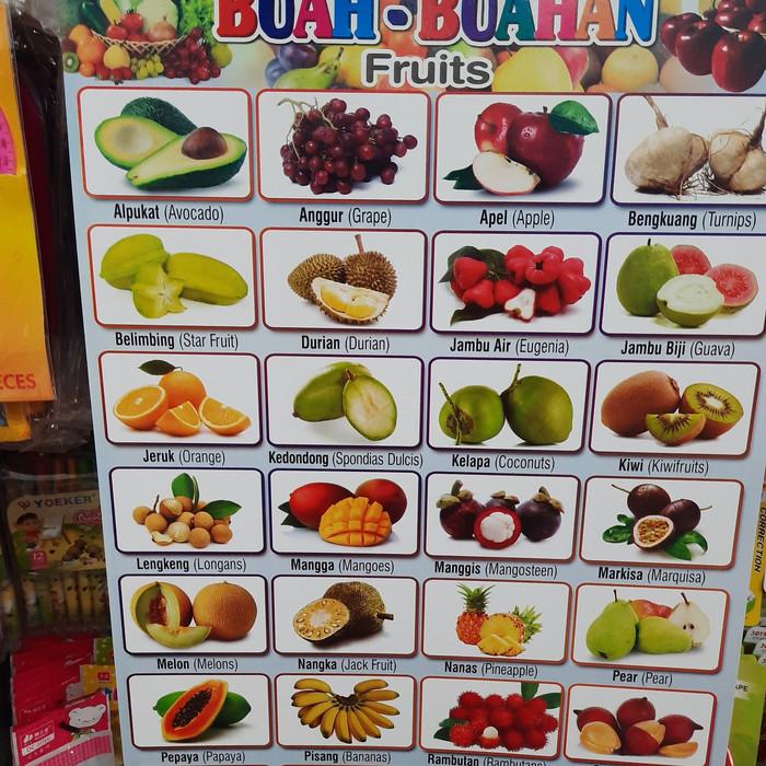 Detail 100 Nama Buah Dan Gambarnya Nomer 4