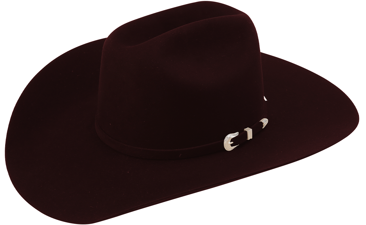 Detail 100 Percent Beaver Cowboy Hats Nomer 47