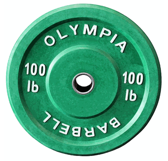 Detail 100 Pound Plate Weight Nomer 11