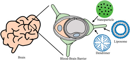 Detail 133 Brain Dots Nomer 22