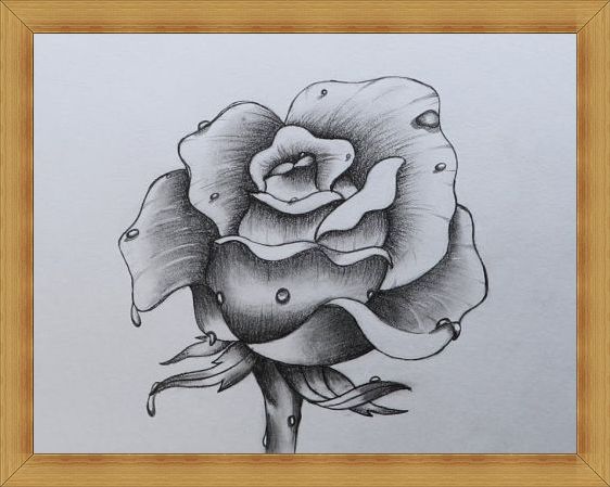 Download 15 Gambar Sketsa Bunga Dari Pensil Yang Mudah Dibuat Nomer 31