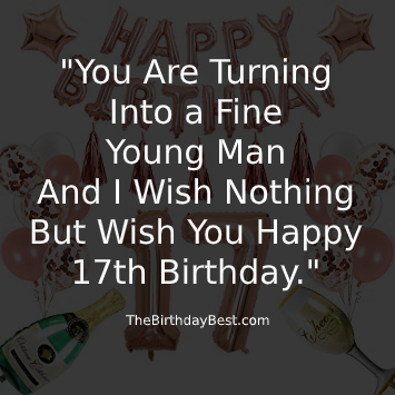 Detail 17th Birthday Quotes Funny Nomer 39