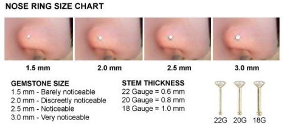 Detail 18 Gauge Needle For Nose Piercing Nomer 14