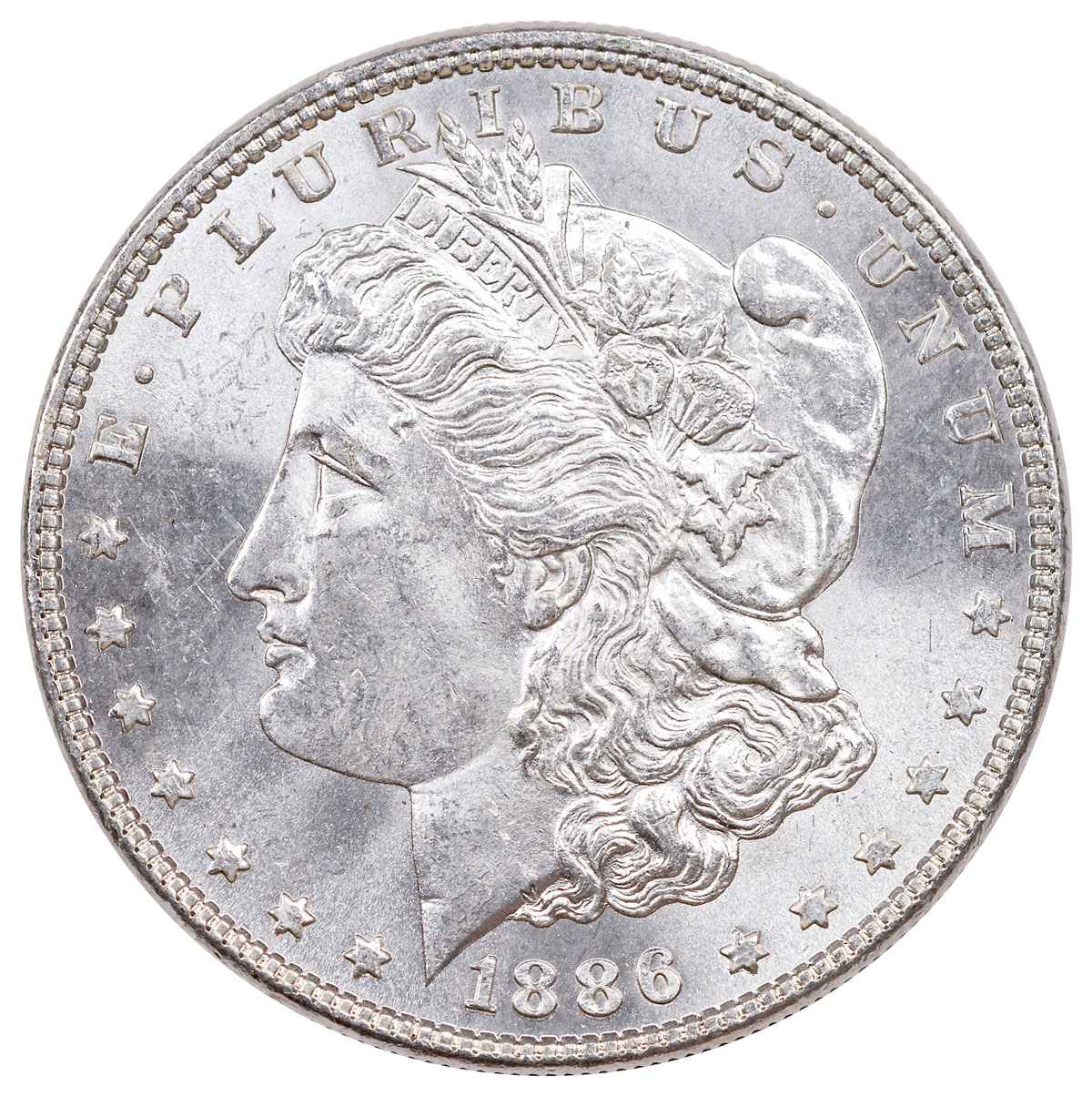 Detail 1886 Silver Dollar Ebay Nomer 3