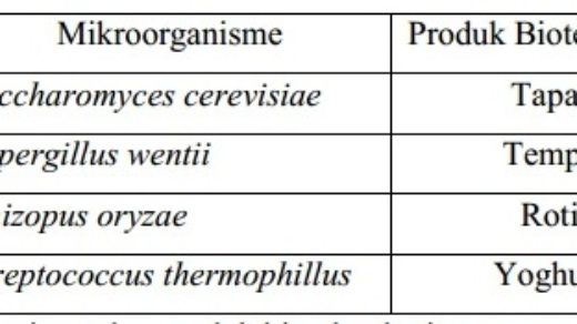 Detail 20 Contoh Bioteknologi Konvensional Nomer 38