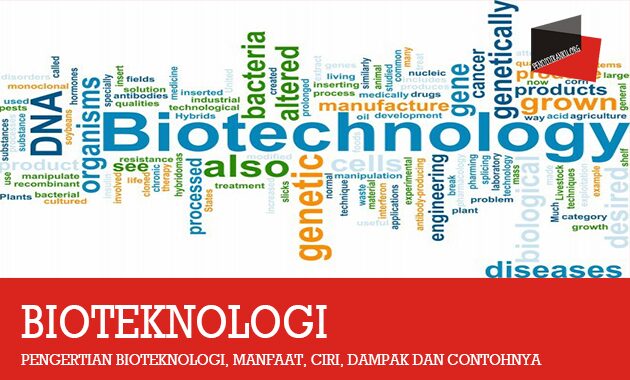 Detail 20 Contoh Bioteknologi Konvensional Nomer 42