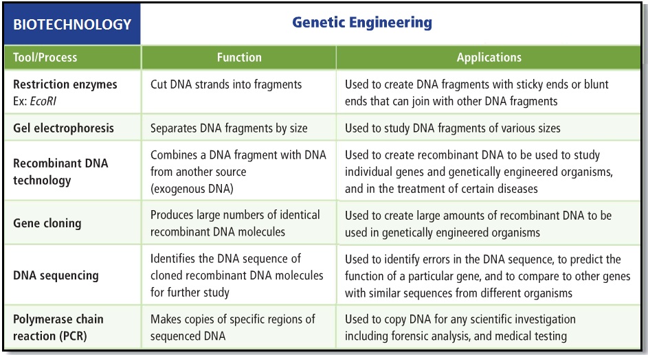 Detail 20 Contoh Bioteknologi Konvensional Nomer 54