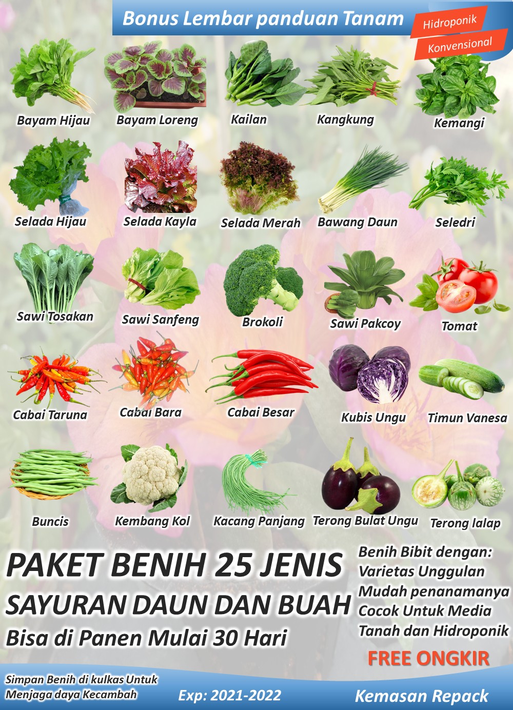 Detail 20 Contoh Sayuran Buah Nomer 11
