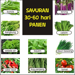 Detail 20 Contoh Sayuran Buah Nomer 40