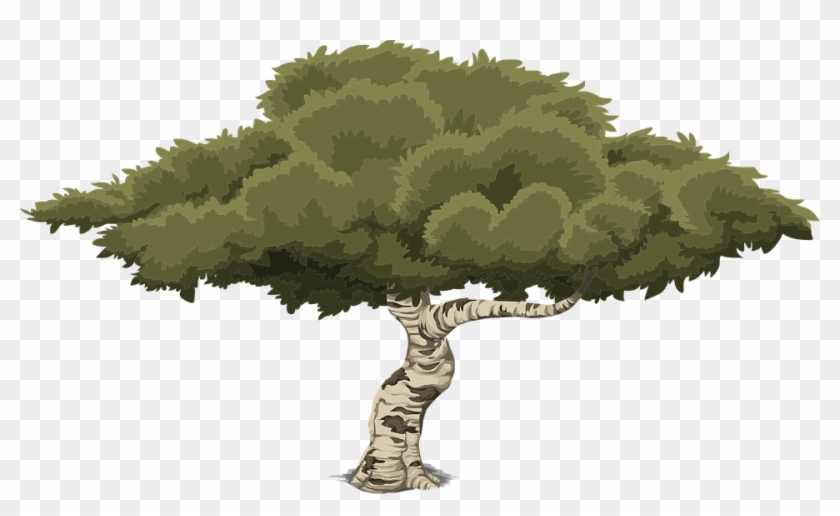 Detail 2d Tree Png Nomer 13