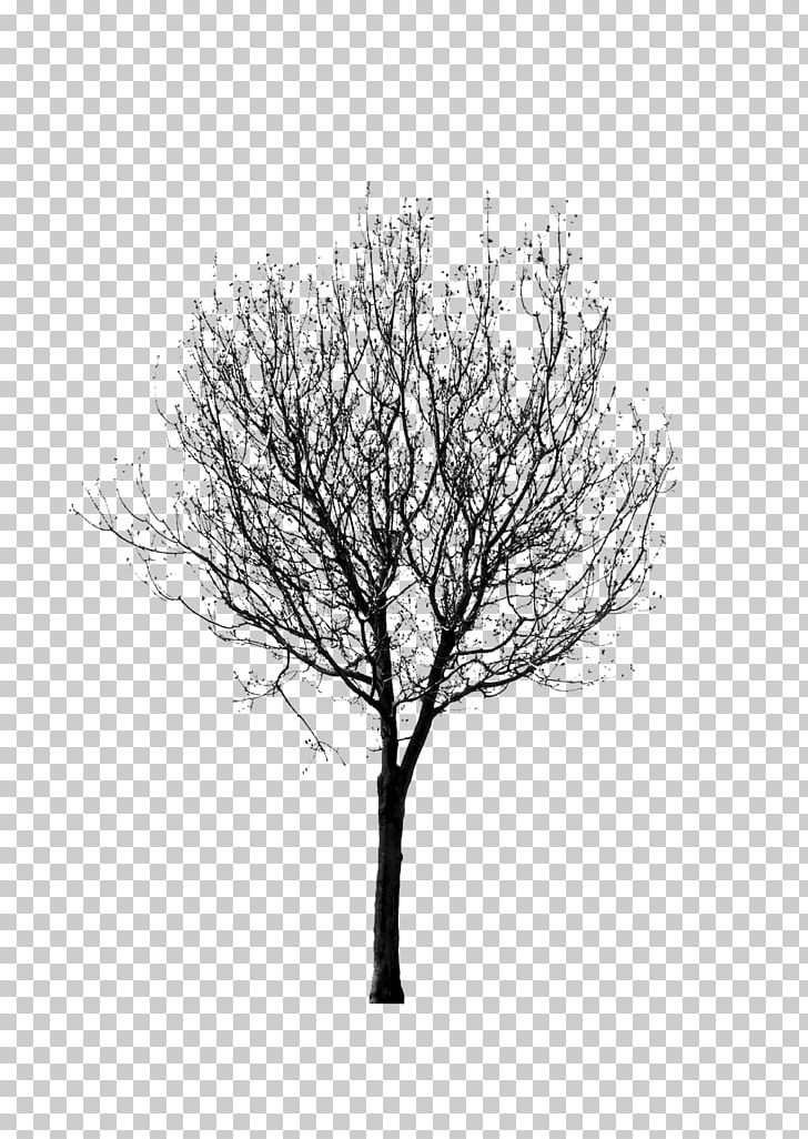 Detail 2d Tree Png Nomer 47