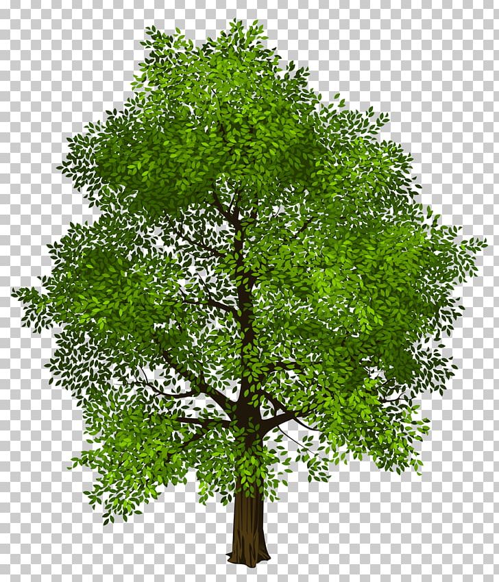 Detail 2d Tree Png Nomer 59