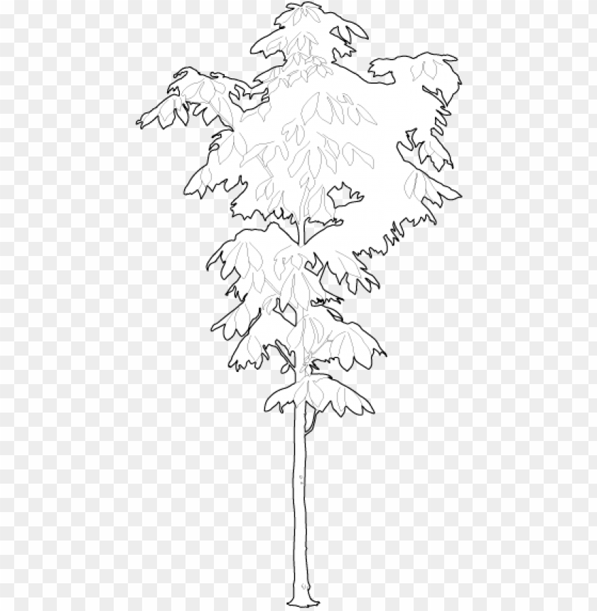 Detail 2d Tree Png Nomer 10