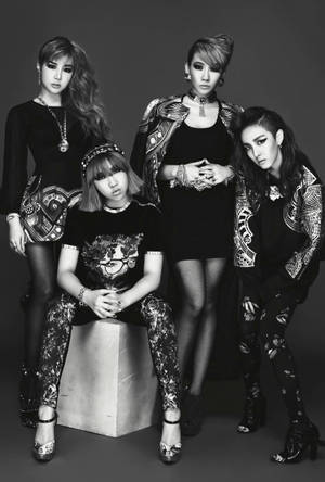 Detail 2ne1 Wallpaper Nomer 58