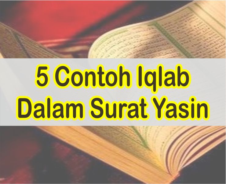 Detail 3 Contoh Bacaan Iqlab Nomer 34