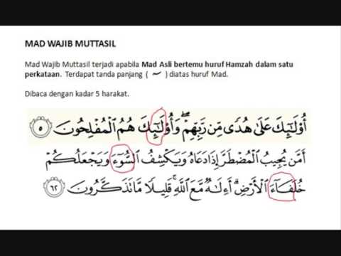 Detail 3 Contoh Mad Wajib Muttasil Nomer 42