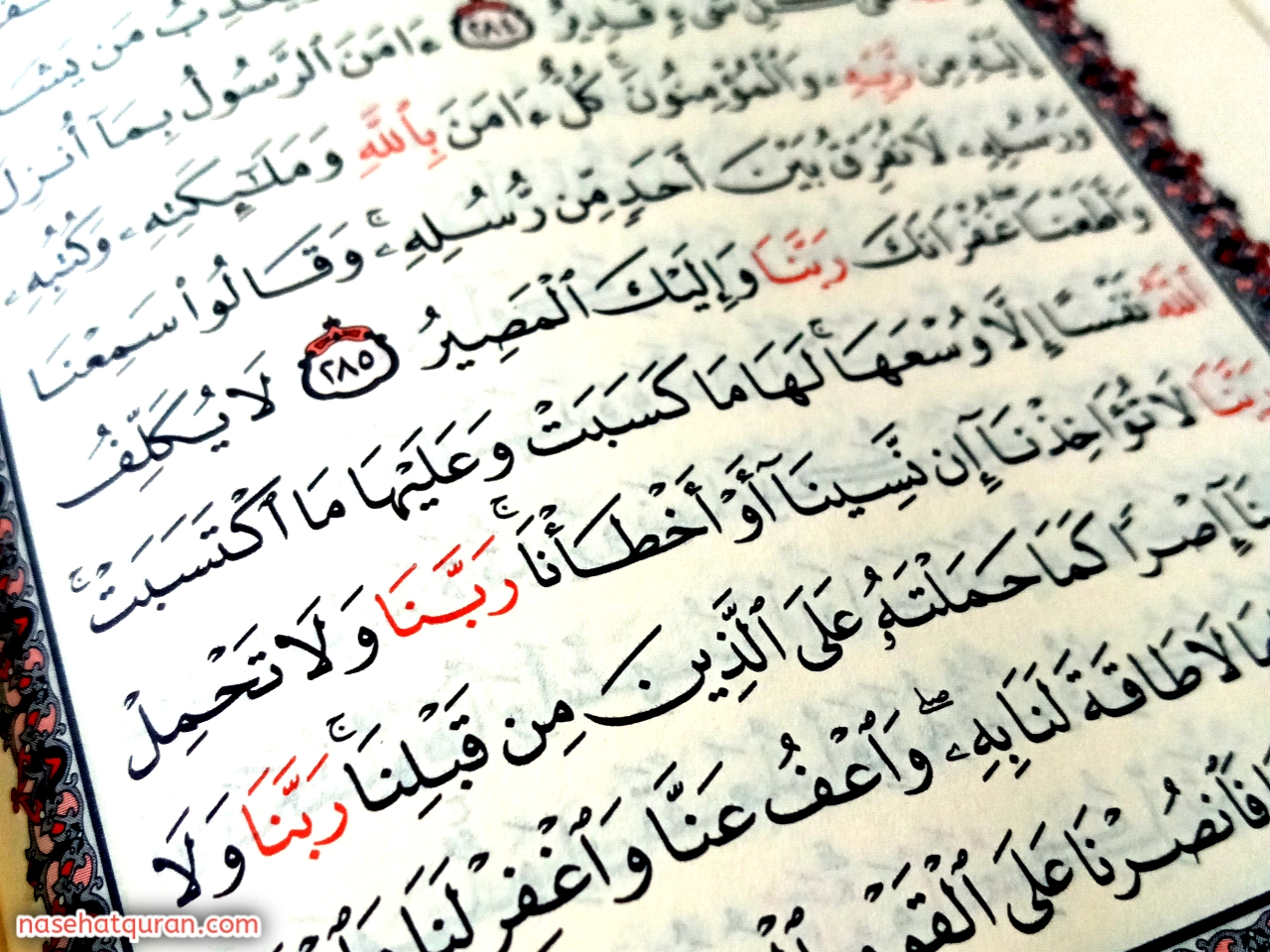 Detail 3 Surat Terakhir Al Quran Nomer 22