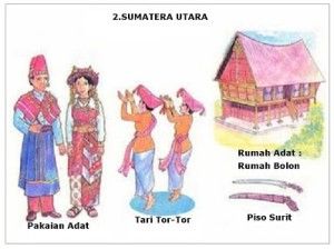 Detail 34 Gambar Pakaian Adat Indonesia Nomer 46