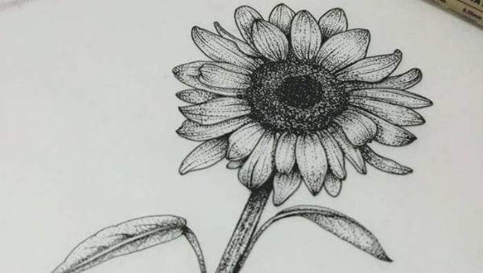 Detail 39 Gambar Sketsa Bunga Indah Nomer 45