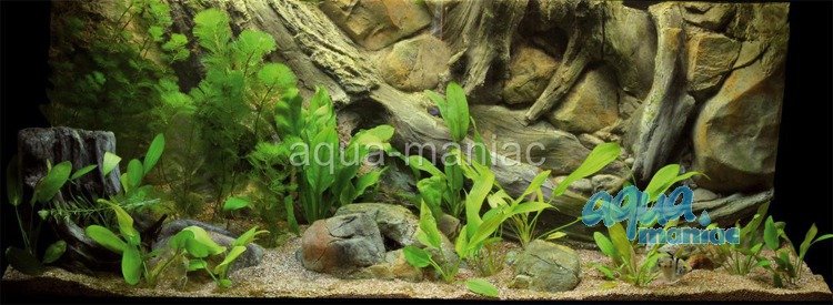 Detail 3d Background Aquarium Nomer 45