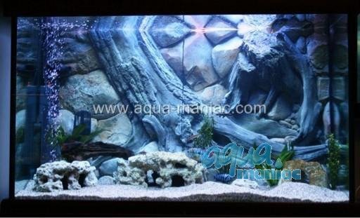 Detail 3d Background Aquarium Nomer 53