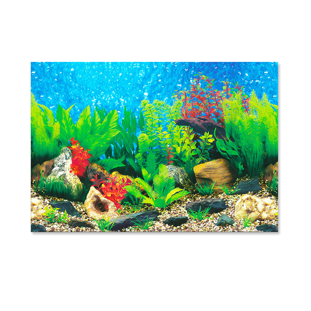 Detail 3d Background Aquarium Nomer 60