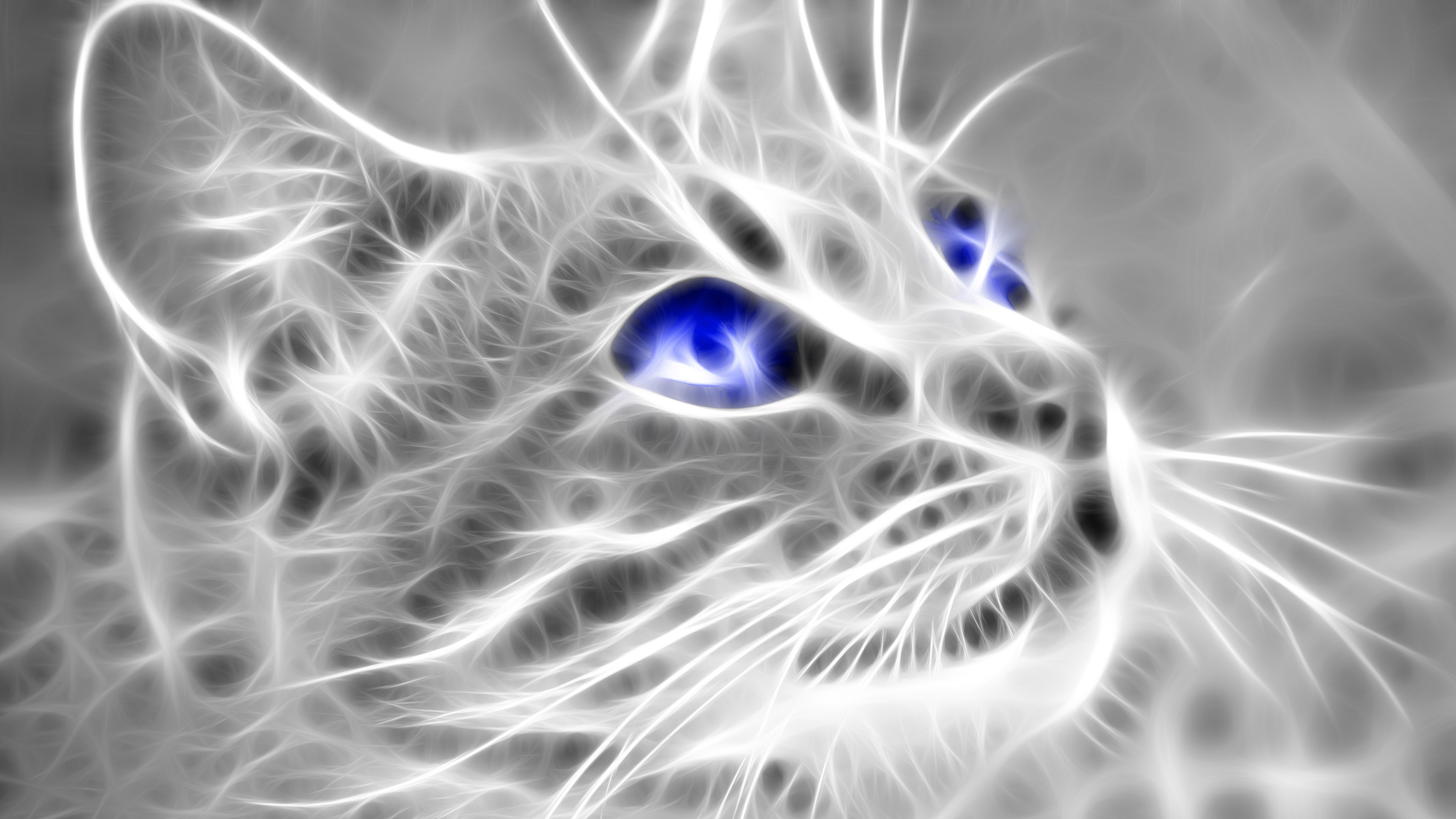 Detail 3d Cat Wallpaper Download Nomer 21