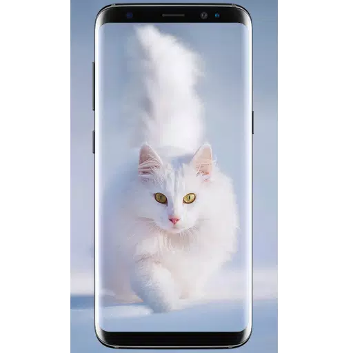 Detail 3d Cat Wallpaper For Mobile Nomer 10