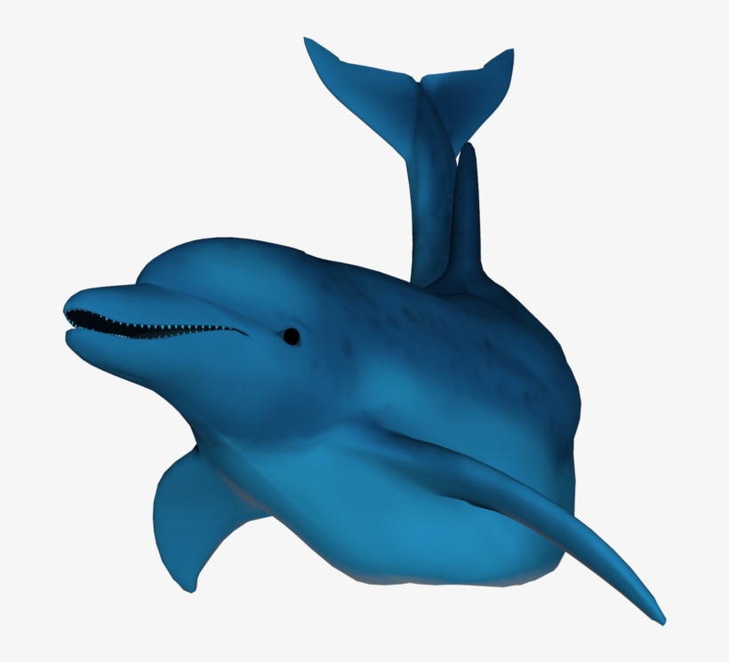 Detail 3d Dolphin Png Nomer 2