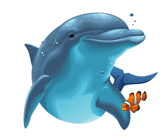 Detail 3d Dolphin Png Nomer 11