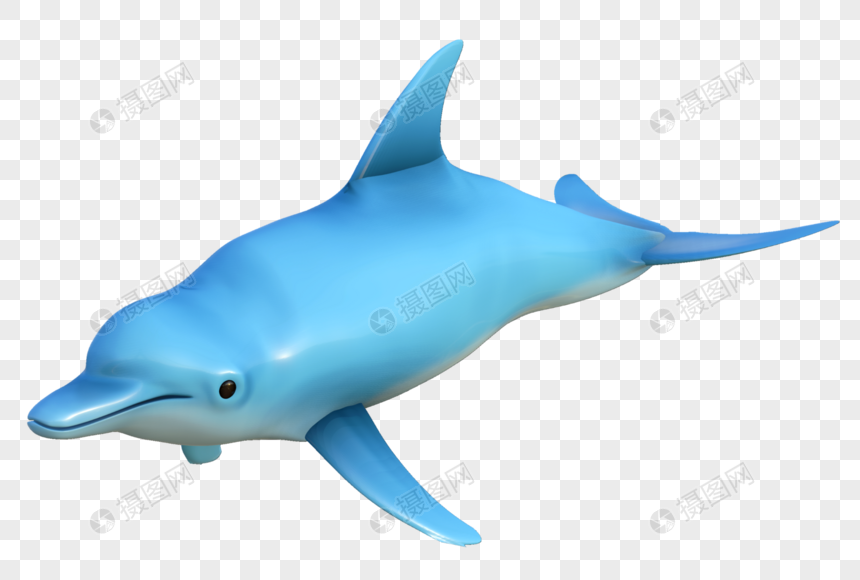 Detail 3d Dolphin Png Nomer 13