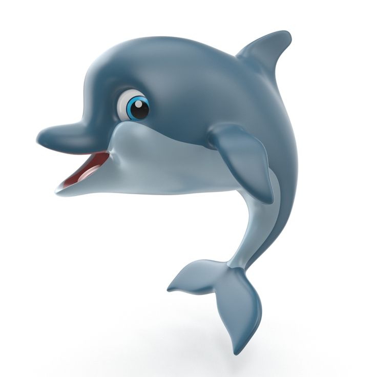 Detail 3d Dolphin Png Nomer 14