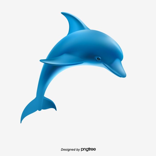 Detail 3d Dolphin Png Nomer 19