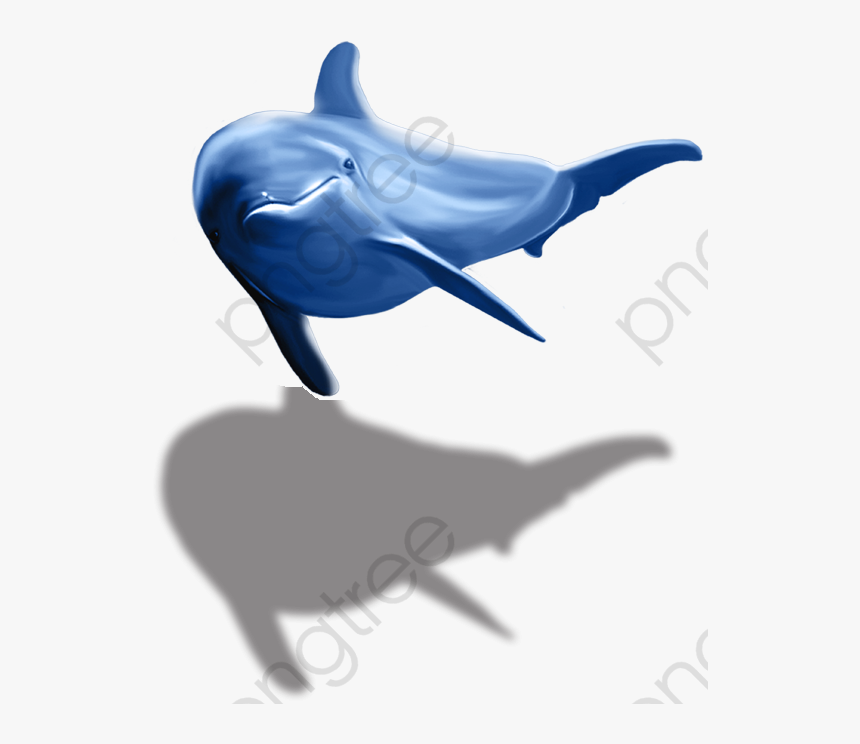 Detail 3d Dolphin Png Nomer 20