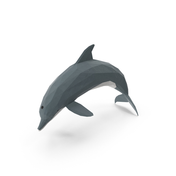 Detail 3d Dolphin Png Nomer 29