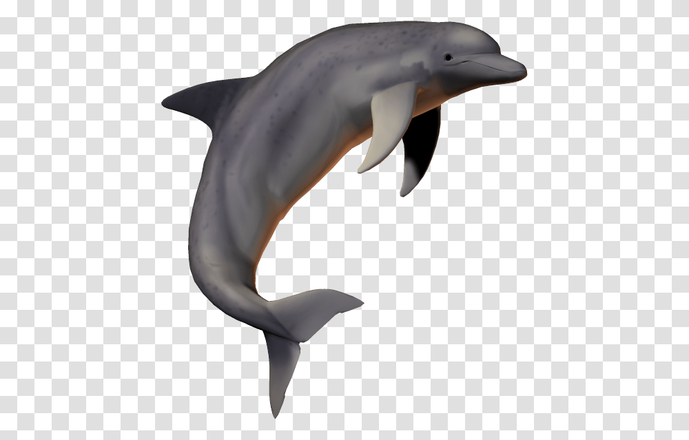 Detail 3d Dolphin Png Nomer 38