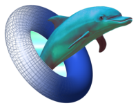 Detail 3d Dolphin Png Nomer 45